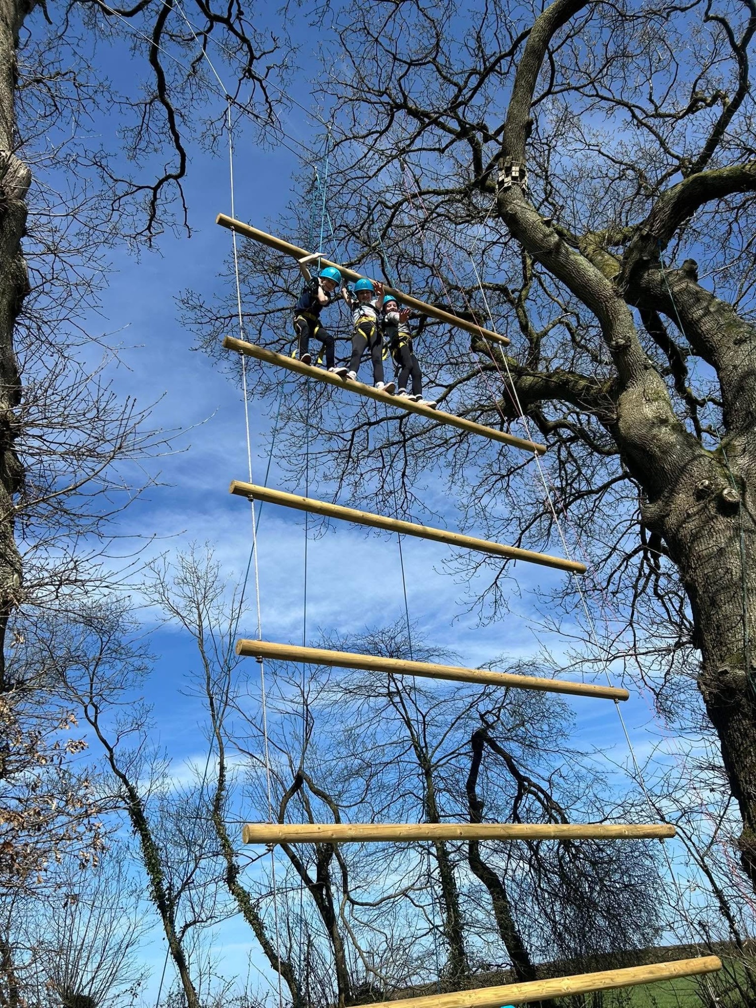 Pupils on the high ropes course